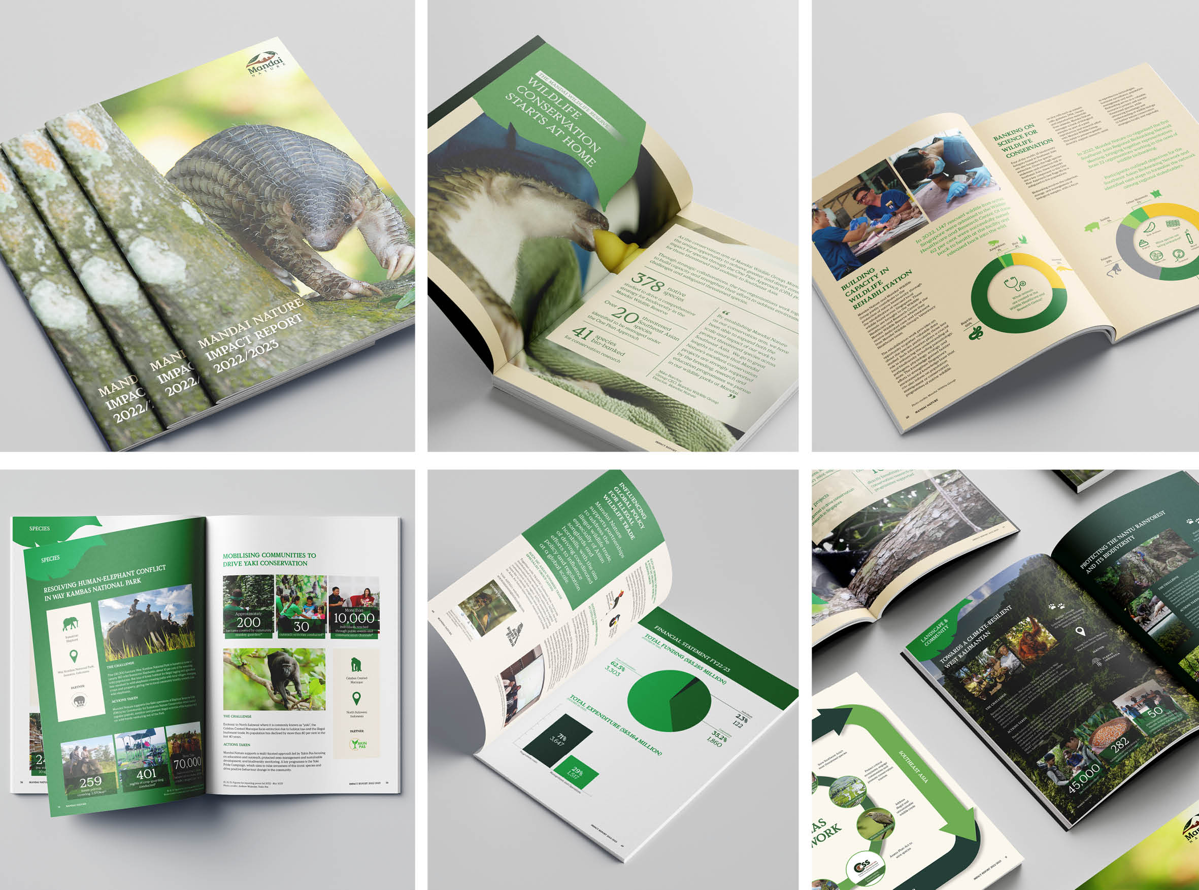 Mandai Nature Impact Report 2022/2023 — spread and cover mockups